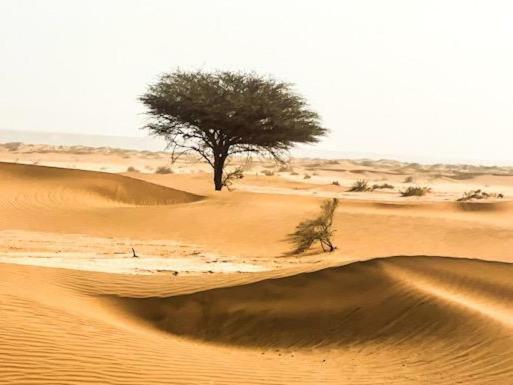 Erg Chegaga Camp&Activites Villa M'Hamid Buitenkant foto